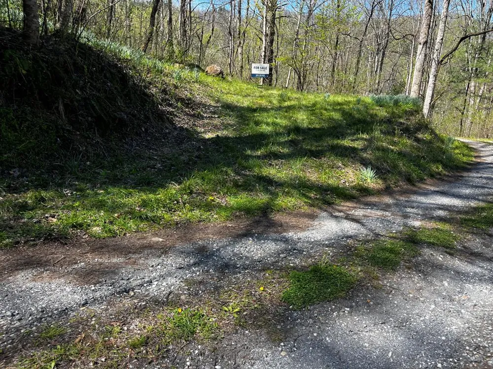Leon Barron Rd Sylva, NC 28779