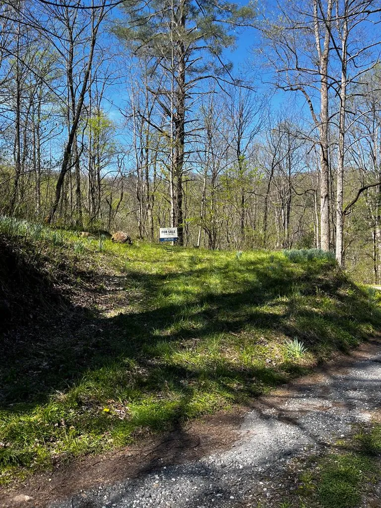 Leon Barron Rd Sylva, NC 28779