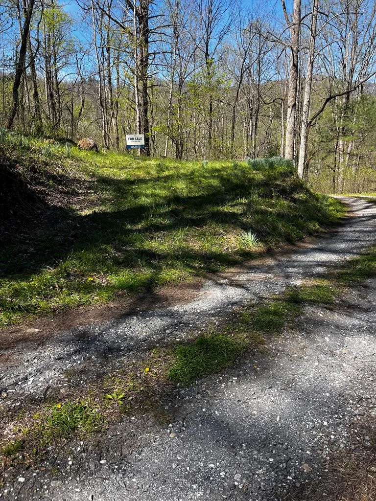 Leon Barron Rd Sylva, NC 28779