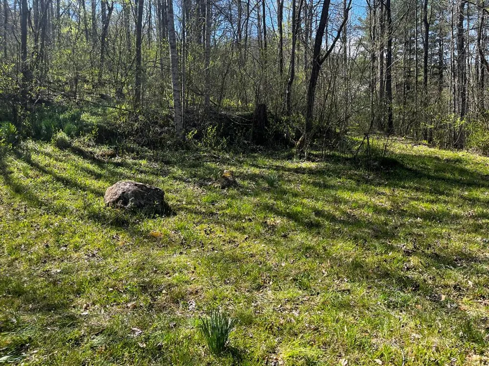 Leon Barron Rd Sylva, NC 28779