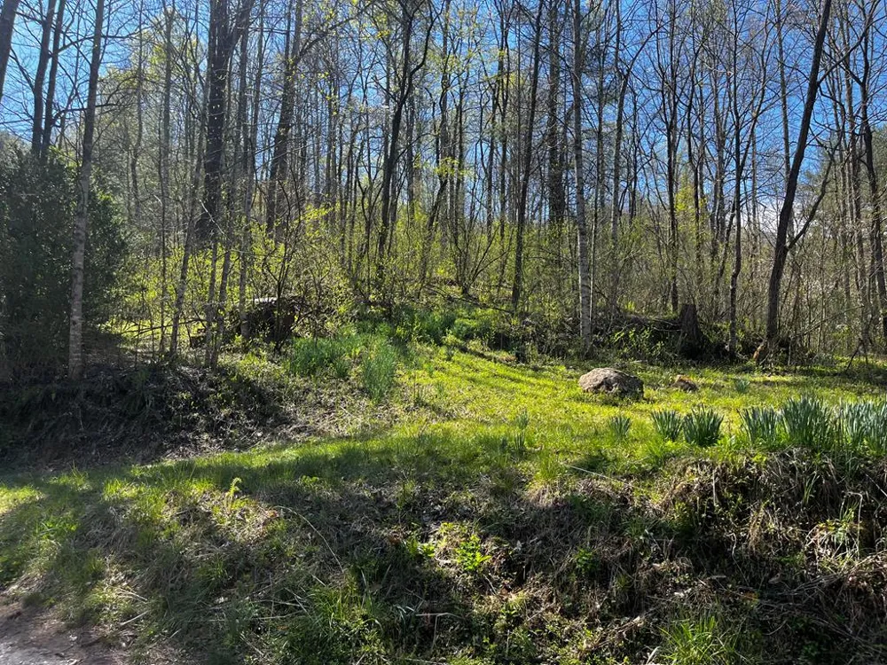 Leon Barron Rd Sylva, NC 28779
