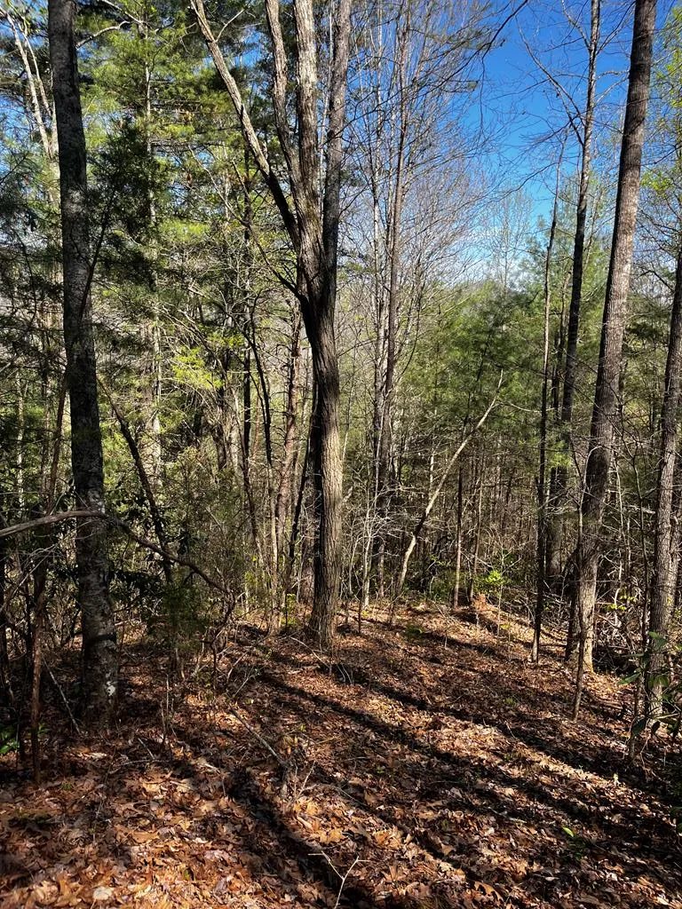Leon Barron Rd Sylva, NC 28779