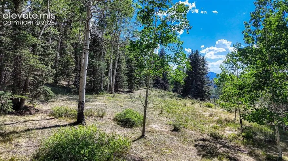 1444 Anges Drive Cripple Creek, CO 80813