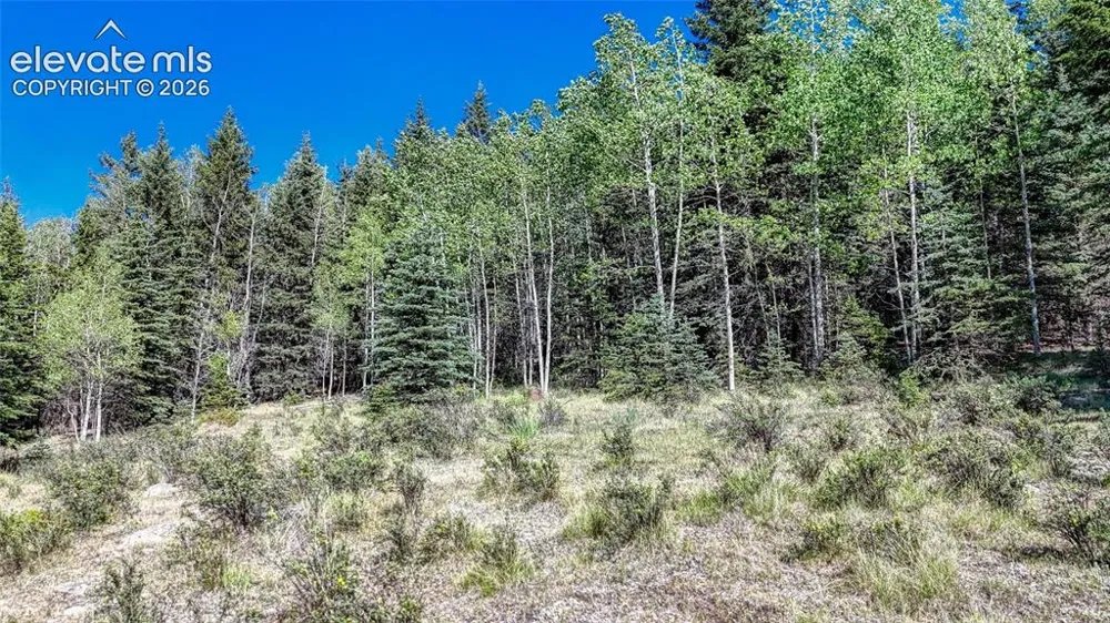 1444 Anges Drive Cripple Creek, CO 80813