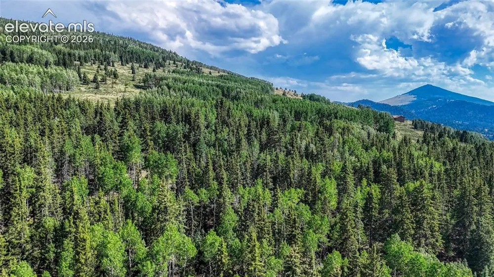 1444 Anges Drive Cripple Creek, CO 80813