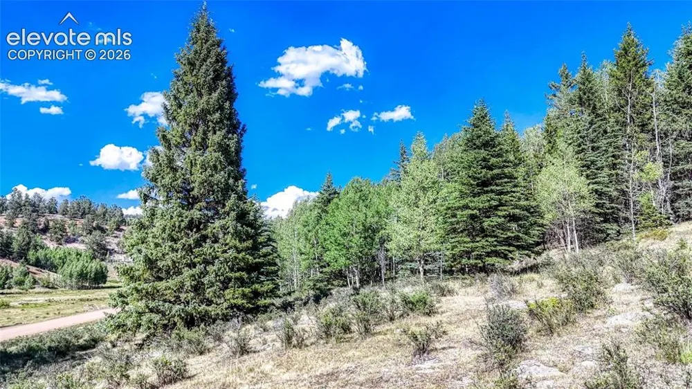 1444 Anges Drive Cripple Creek, CO 80813
