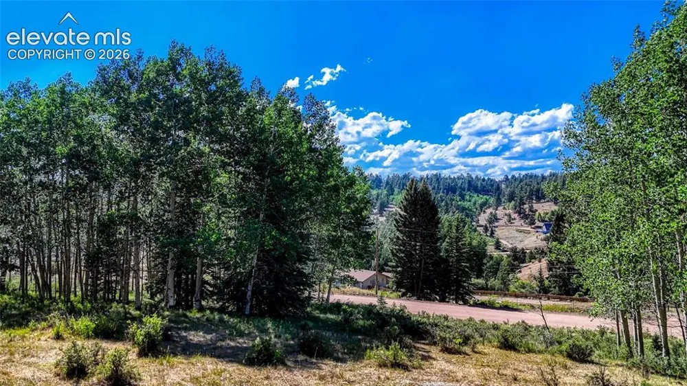 1444 Anges Drive Cripple Creek, CO 80813