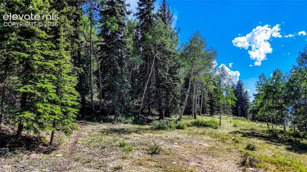 1444 Anges Drive Cripple Creek, CO 80813