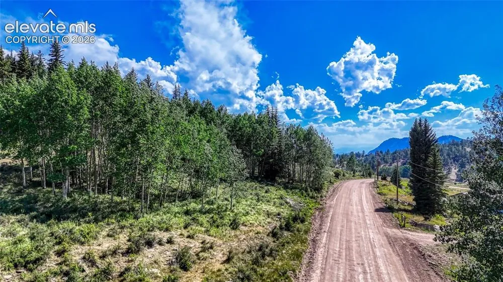 1444 Anges Drive Cripple Creek, CO 80813