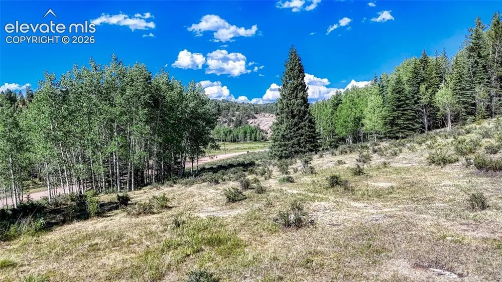 1444 Anges Drive Cripple Creek, CO 80813