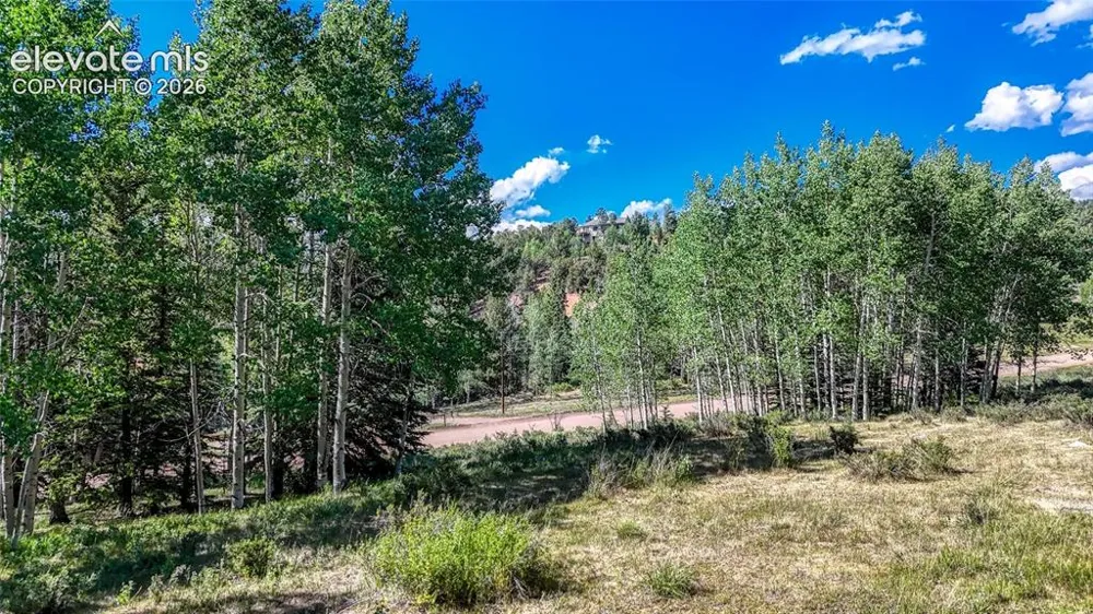 1444 Anges Drive Cripple Creek, CO 80813