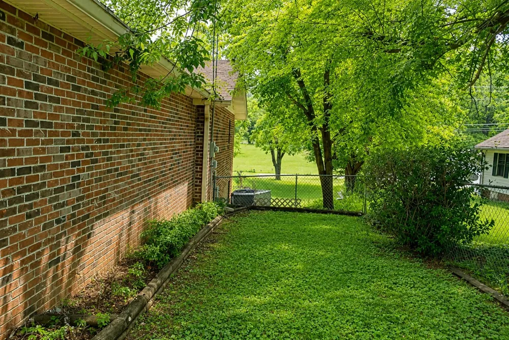 814 Cedar Springs Road Athens, TN 37303