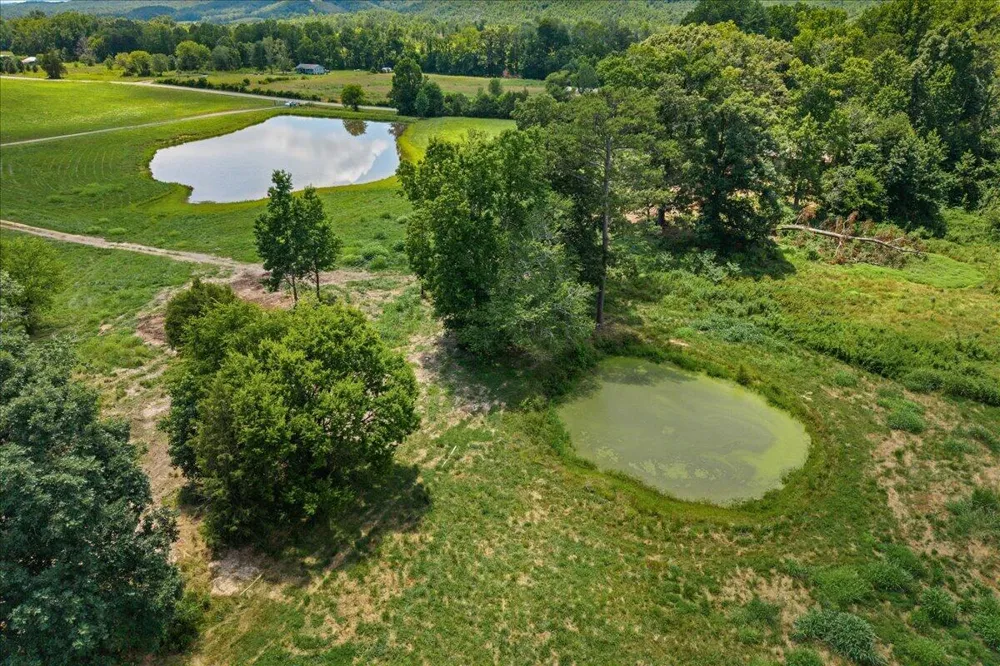 12760 Nopone Valley Road Decatur, TN 37322
