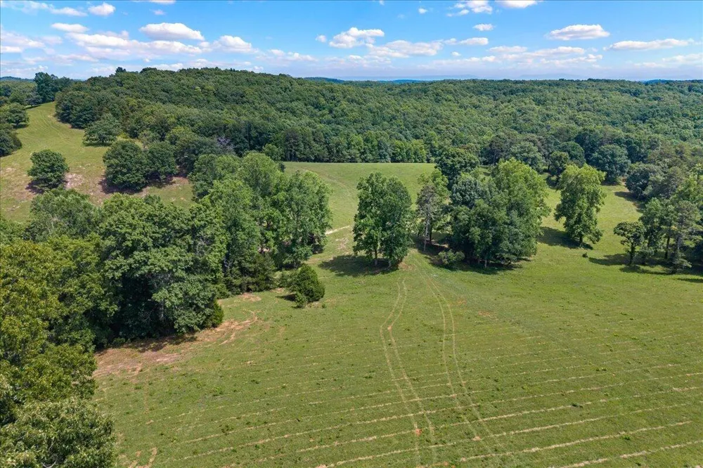 12760 Nopone Valley Road Decatur, TN 37322