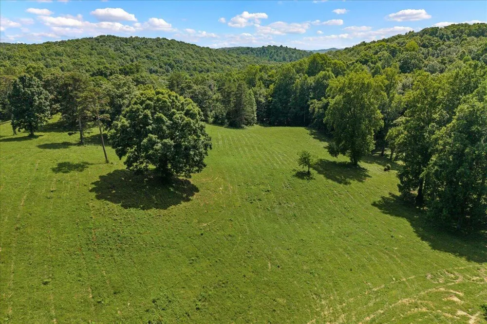 12760 Nopone Valley Road Decatur, TN 37322