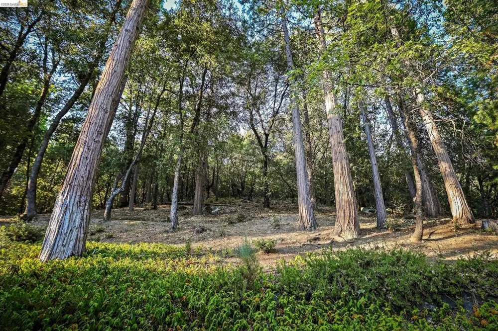 18580 Wildwood Dr Twain Harte, CA 95383