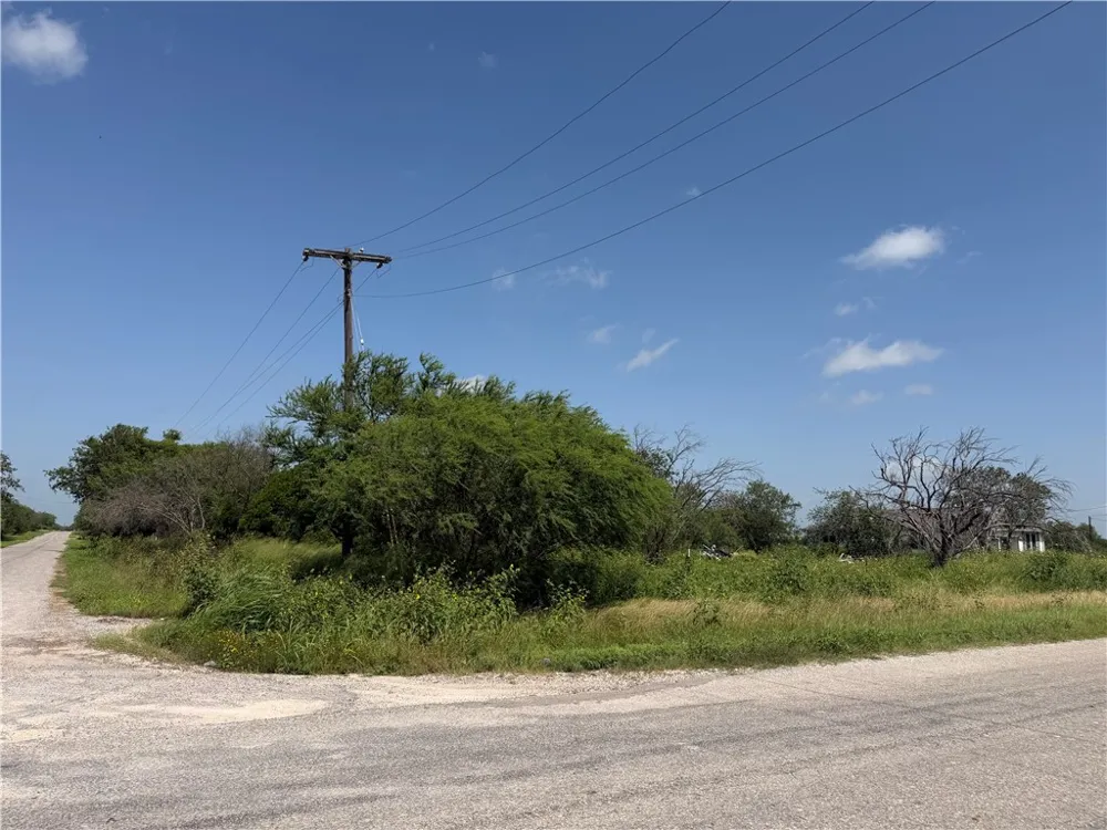 Address Not Shown Orange Grove, TX 78372