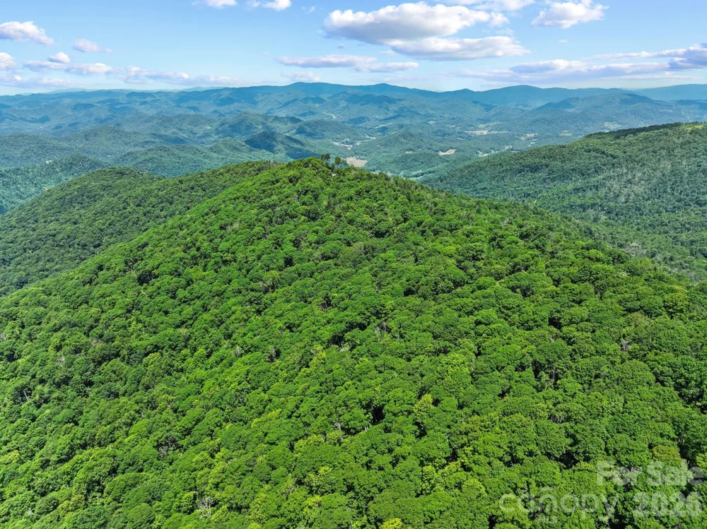 300 Licklog Mountain Trail #68-72 Burnsville, NC 28714