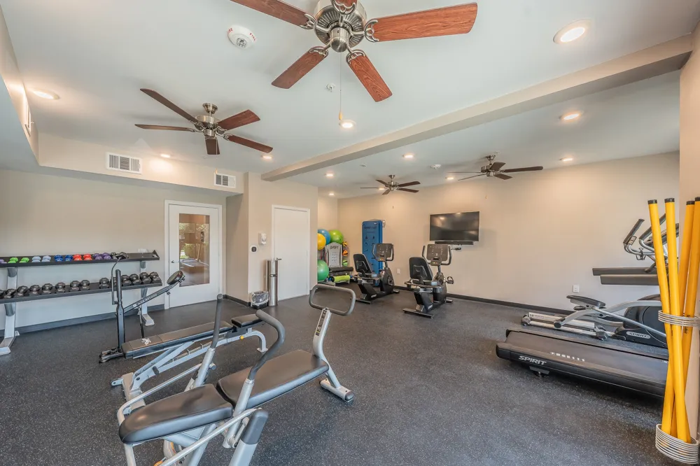1735 Wittington Place #3206 Farmers Branch, TX 75234