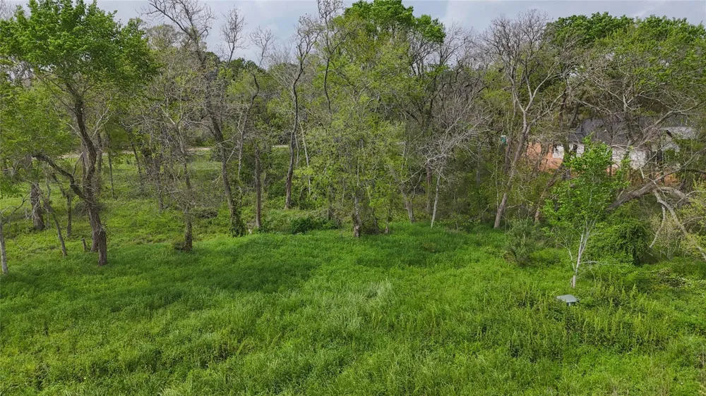 21502 Chenango Lake Drive Angleton, TX 77515
