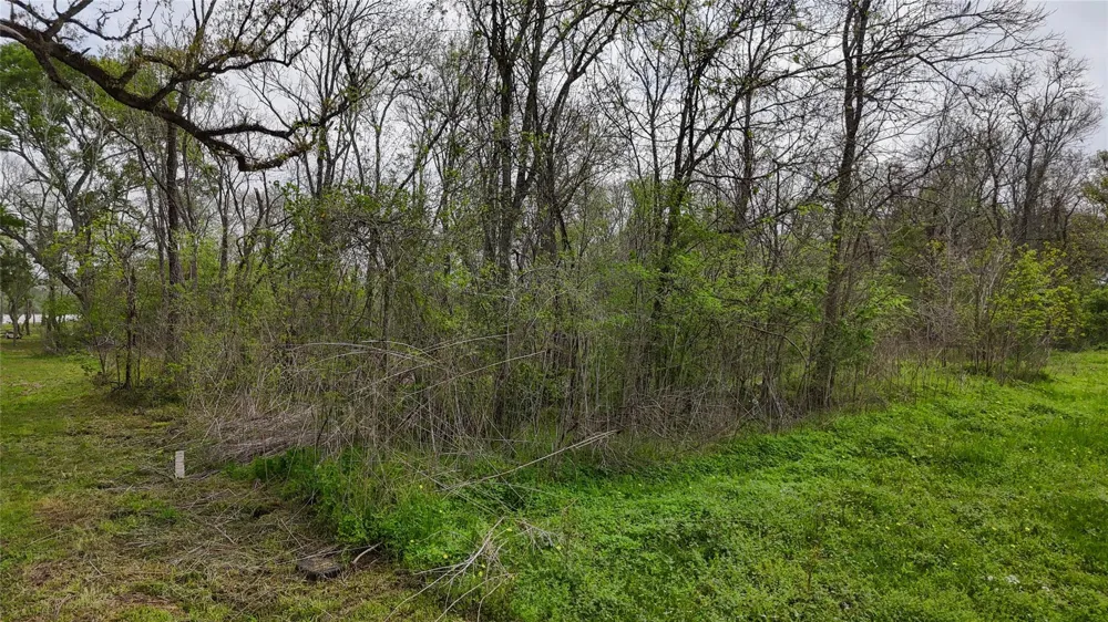 21502 Chenango Lake Drive Angleton, TX 77515