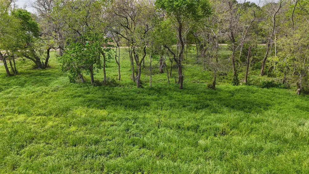 21502 Chenango Lake Drive Angleton, TX 77515