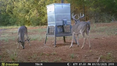 16092 County Road 440