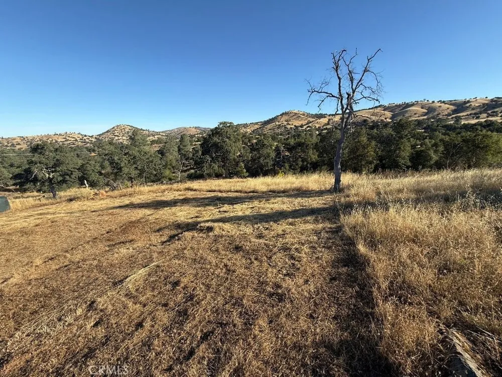5358 Dunn Ranch Catheys Valley, CA 95306