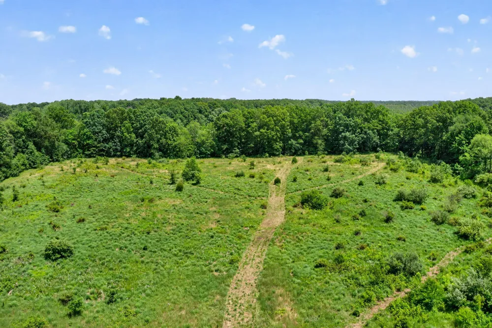 64030 Chain Lake Street Calvin Township, MI 49031