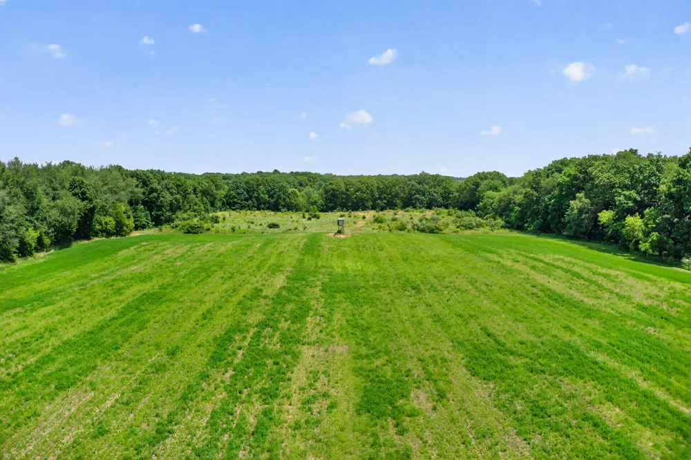 64030 Chain Lake Street Calvin Township, MI 49031