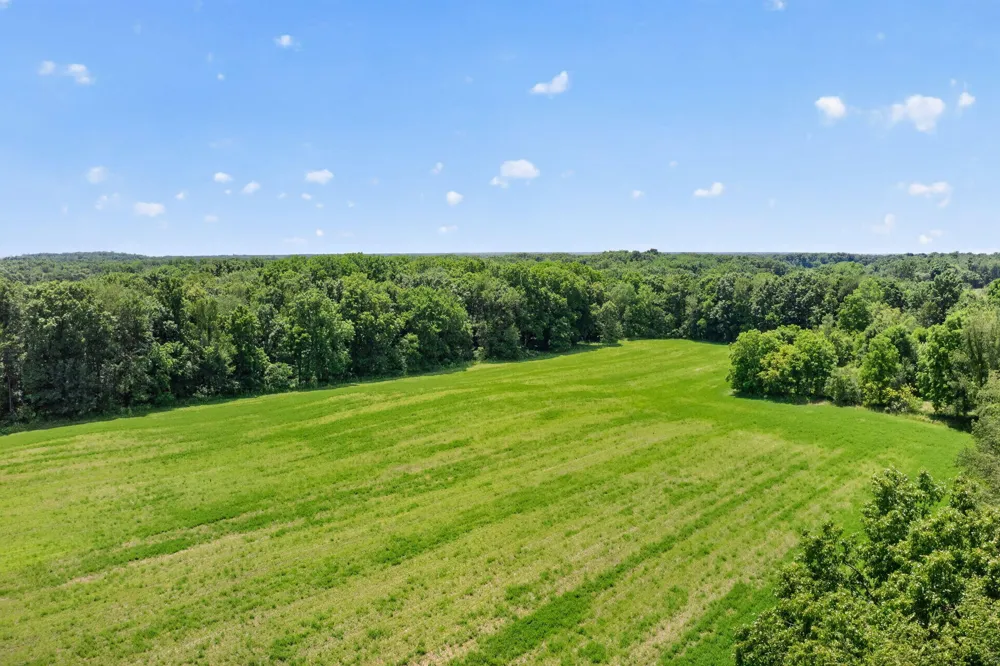 64030 Chain Lake Street Calvin Township, MI 49031