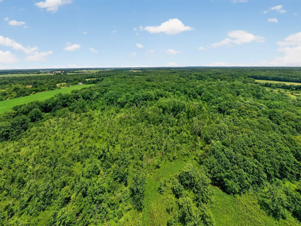 64030 Chain Lake Street Calvin Township, MI 49031