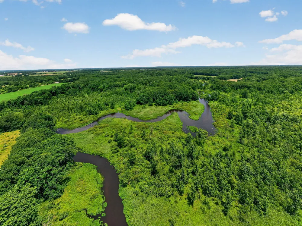 64030 Chain Lake Street Calvin Township, MI 49031