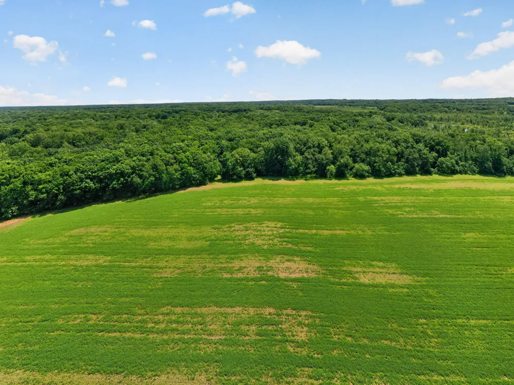 64030 Chain Lake Street Calvin Township, MI 49031