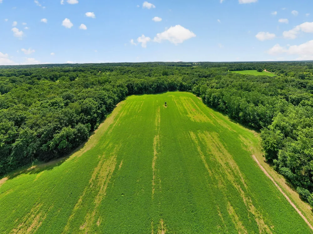 64030 Chain Lake Street Calvin Township, MI 49031