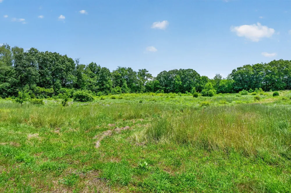 64030 Chain Lake Street Calvin Township, MI 49031