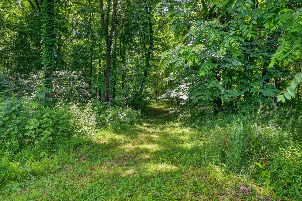 64030 Chain Lake Street Calvin Township, MI 49031