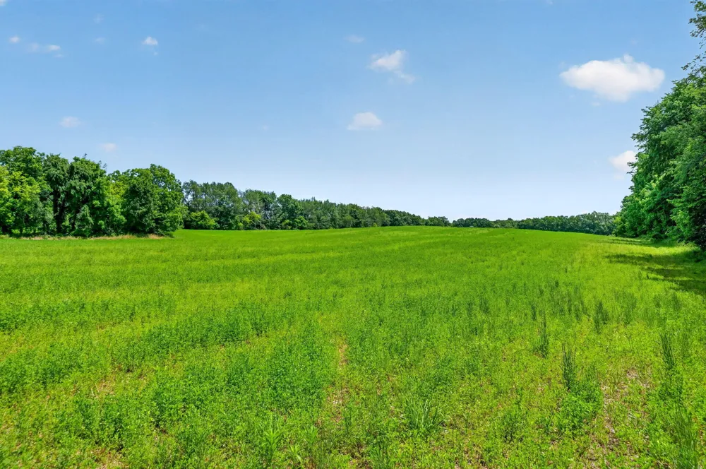 64030 Chain Lake Street Calvin Township, MI 49031