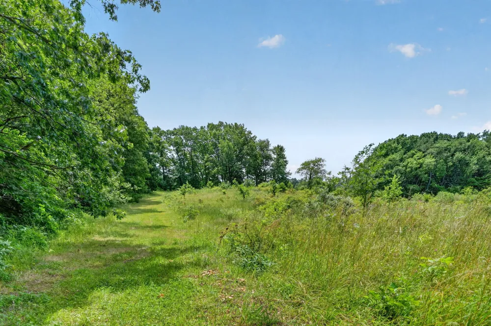 64030 Chain Lake Street Calvin Township, MI 49031