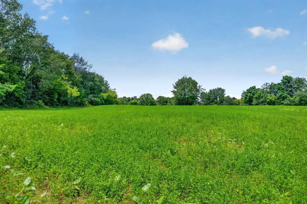 64030 Chain Lake Street Calvin Township, MI 49031