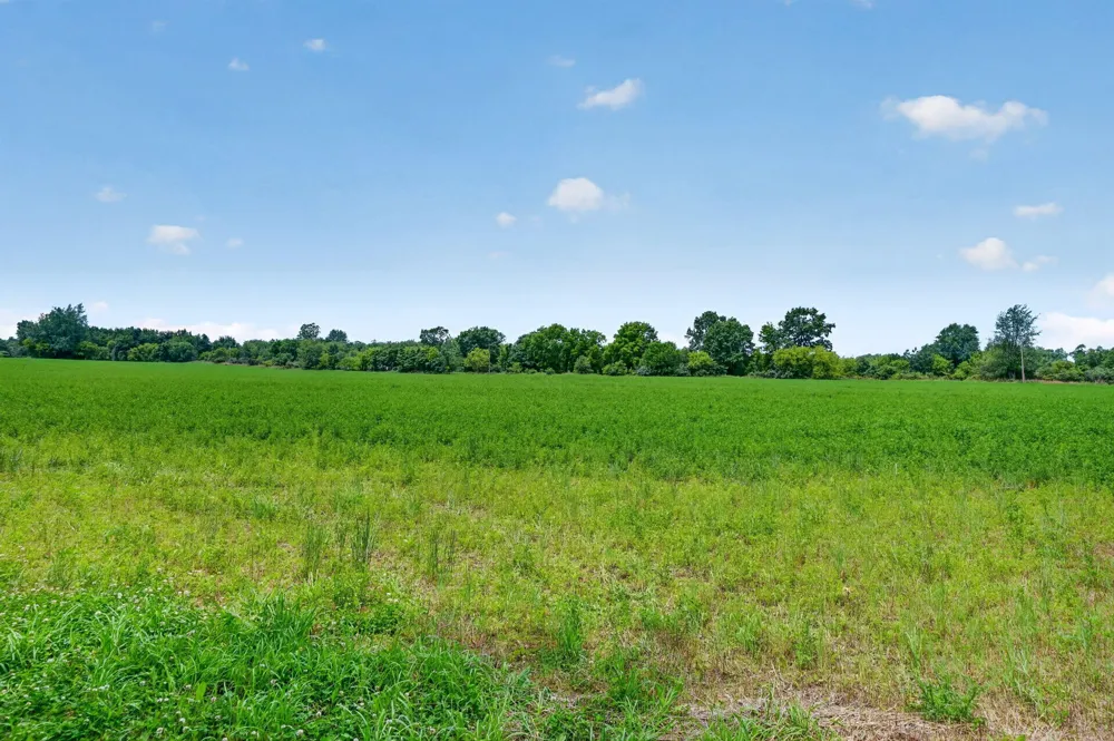 64030 Chain Lake Street Calvin Township, MI 49031