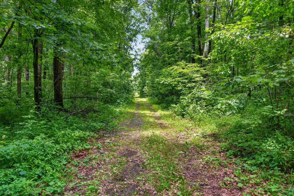 64030 Chain Lake Street Calvin Township, MI 49031