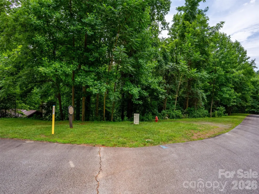 236 Nottingham Drive Mill Spring, NC 28756