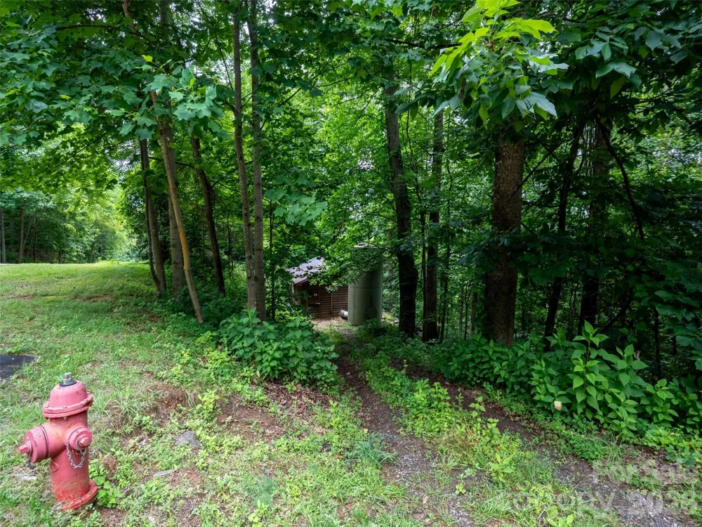 236 Nottingham Drive Mill Spring, NC 28756