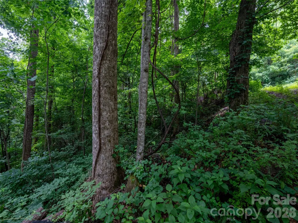 236 Nottingham Drive Mill Spring, NC 28756