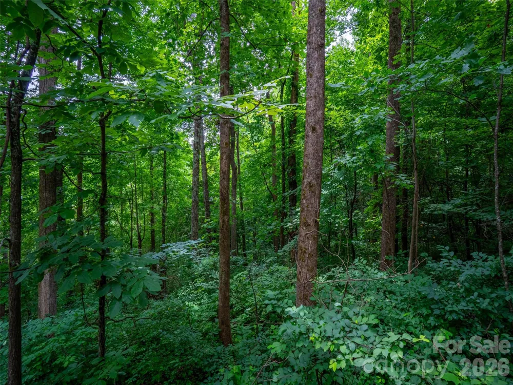 236 Nottingham Drive Mill Spring, NC 28756