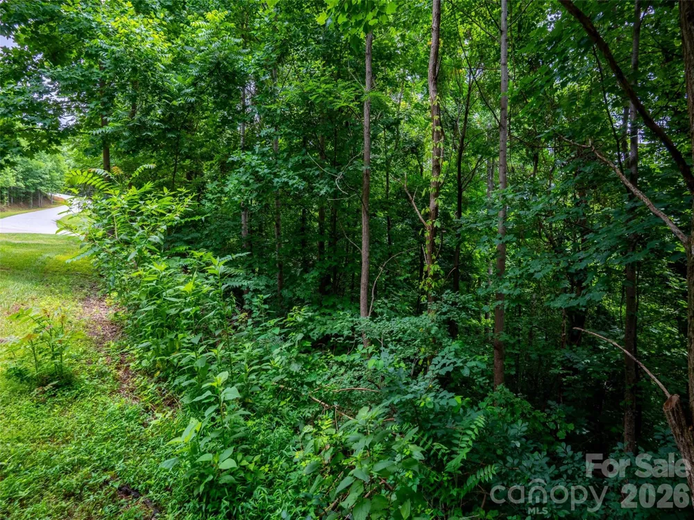 236 Nottingham Drive Mill Spring, NC 28756