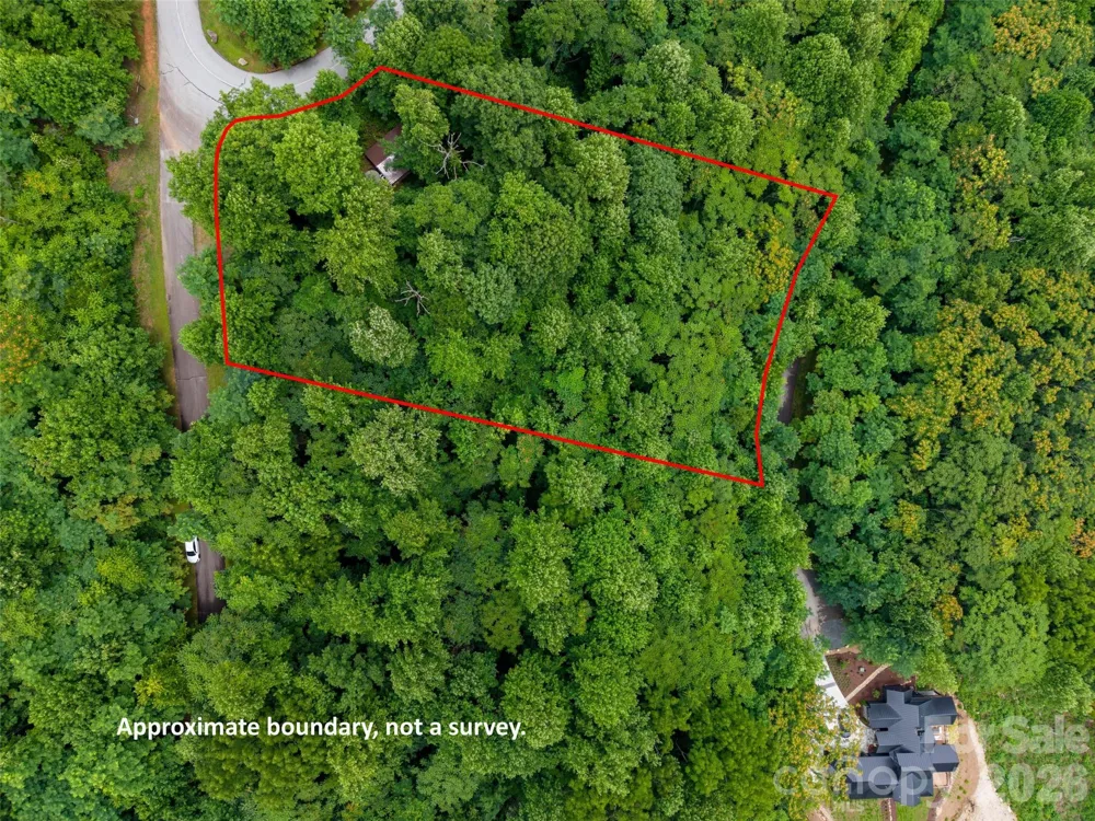236 Nottingham Drive Mill Spring, NC 28756