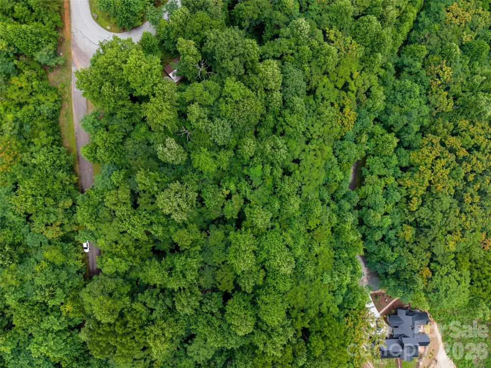 236 Nottingham Drive Mill Spring, NC 28756