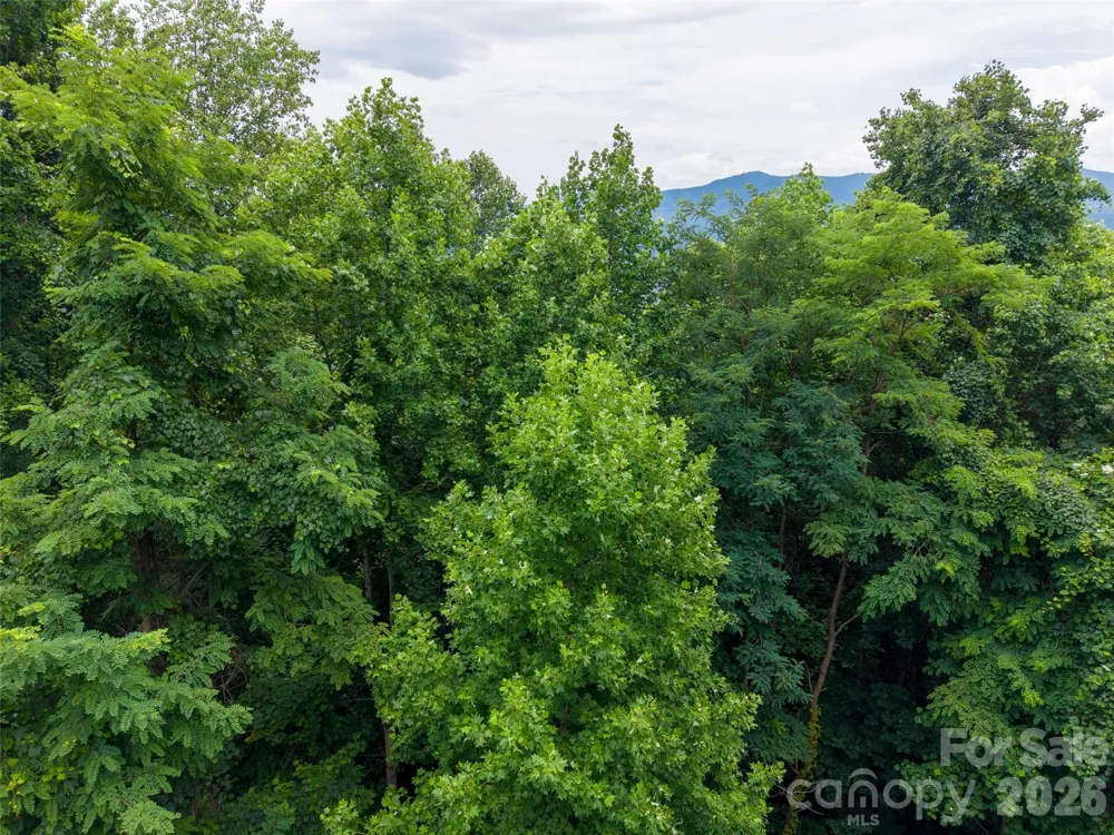236 Nottingham Drive Mill Spring, NC 28756
